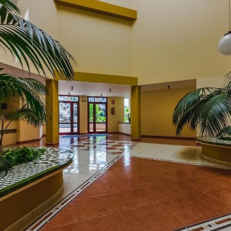 Olivia Free Wifi Apartment Puerto de Santiago  Exterior photo
